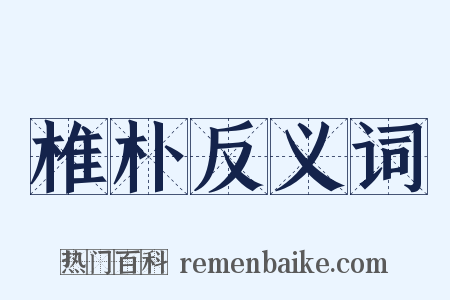 椎朴反义词是什么意思的图片